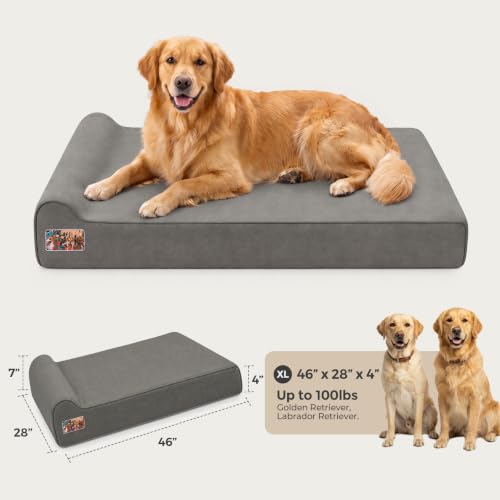 Orthopedic Dog Beds for Large Dogs (X-large / Dark Grey)
