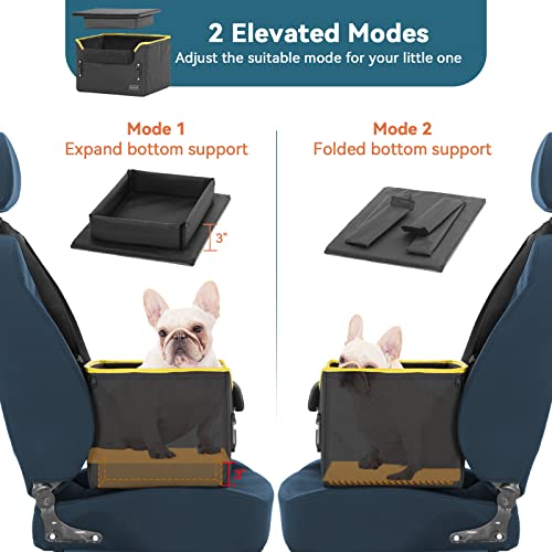 Small Dog Car Seat