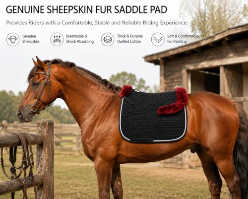 Dressage Saddle Pad English Sheepskin Trim for Horses Black Red (Black/Red)