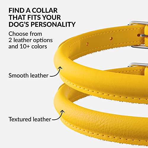 Tangle Free Rolled Leather Dog Collar