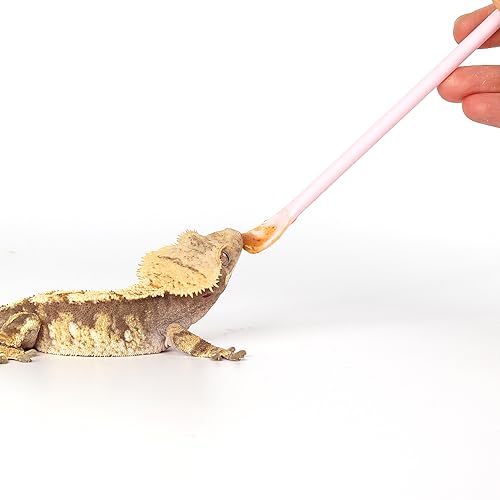 2Pcs Pink Reptile Feeding Spoon