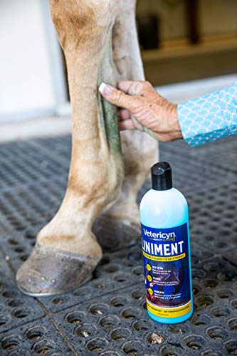 Mobility Equine Liniment for Fast (16 Ounce)
