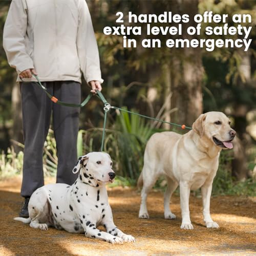 Slip Lead Leash 2 Dogs (Multicolor / w/ Handle)
