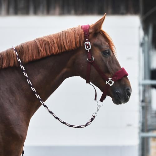 Kiel Horse Halter (Dark Red / Horse)