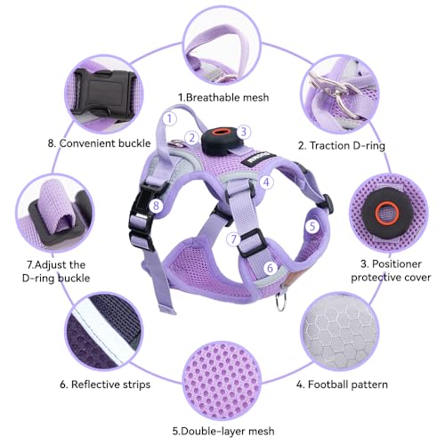 Cat Harness and Leash Set with AirTag Holder (Purple (Holder for Airtag) / XL)
