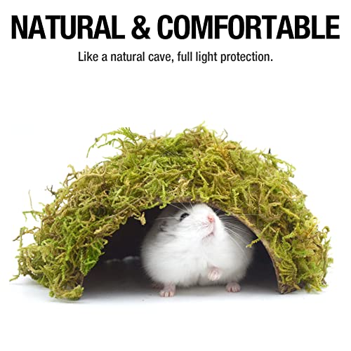 Hamster Hideaway (Cave, Set)
