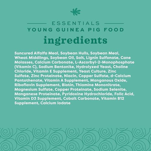 Essentials Young Guinea Pig Food (10 Pound (Pack of 1))