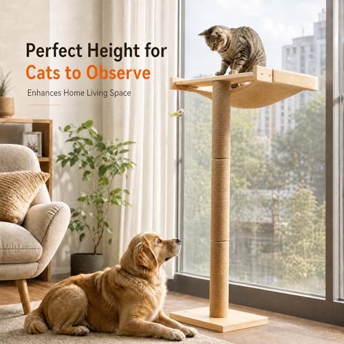 Cat Window Perch with Scratching Post (standard)