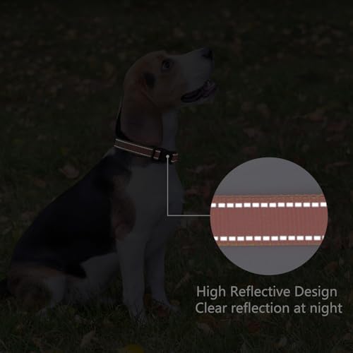 Reflective Dog Collar (Coral / XS:width 5/8"neck 8-10.5")