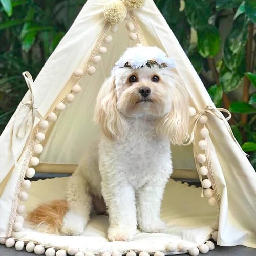 Pet Teepee Bed for Dogs and Cats (Medium)
