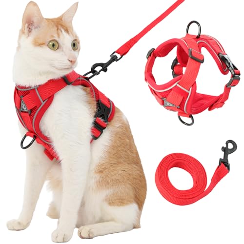 Cat Harness and Leash (X-Large / Red)