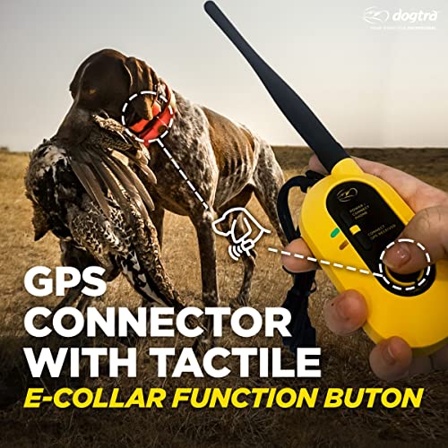 Pathfinder 2 Hunting Ecollar GPS Dog Training Collar with Remote (Path 2 - 1 Dog)