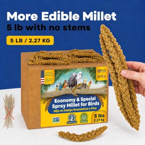 5lbs Economy & Special Spray Millet for Birds (5 Pound (Pack of 1))
