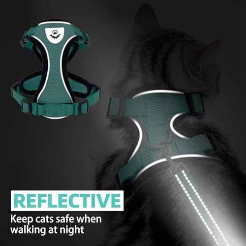 Cat Harness and Leash Set Escape Proof Reflective Cat Walking Harness Adjustable Soft Breathable Mesh Vest for Small Pets (L (NECK 14"-18", CHEST 18"-26.5") / Aquamarine)