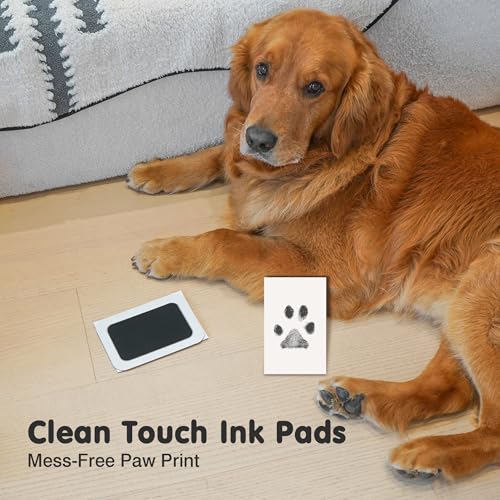 Inkless Paw Print Kit for Dogs (Black Pad,Black/White Wood Frame / 4-Pack,Medium)