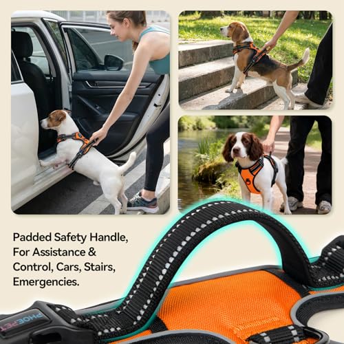 No Pull Dog Harnesses for Small Puppies Reflective Adjustable (Small / Orange)