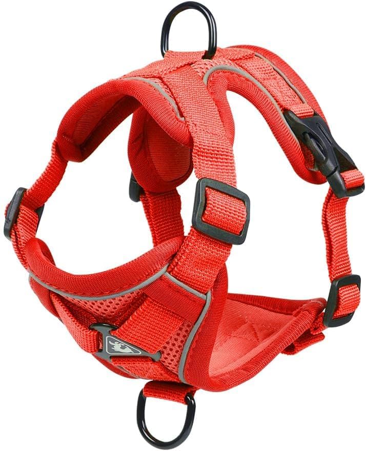 Vest Harness Leash Set for Small Dog Large Cat (Red / XL)