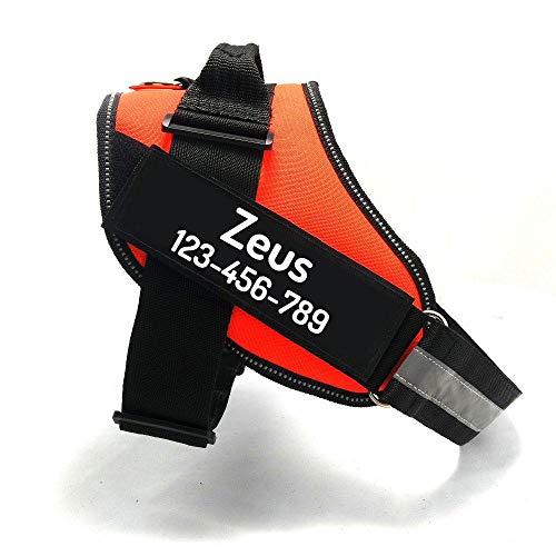 Custom No Pull Dog Harness with Name and Phone Number (M (20-40 LBS) / Orange)
