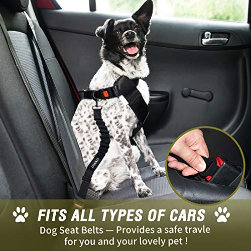 Dog Seat Belt (Set 12-Black+Olive)