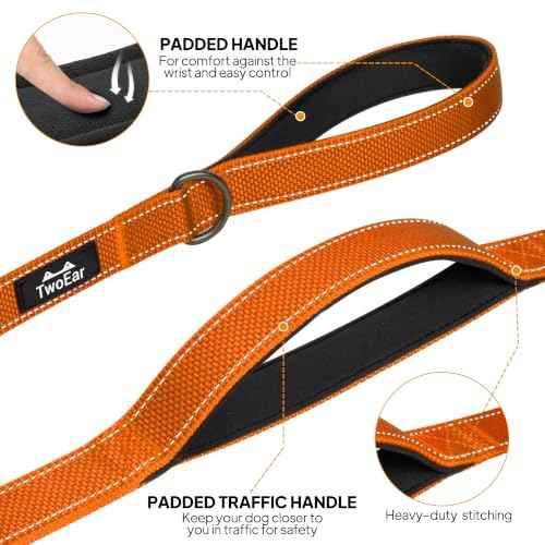 5FT 1IN Heavy Duty Dog Leash for Large Dogs with 2 Padded Handles (Orange / 1 in x 5 ft)