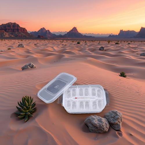 Reptile Breeding Box