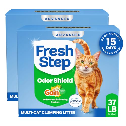 Advanced Odor Shield Clumping Cat Litter with Gain (Advanced Litter / 18.5 lb (Pack of 2))