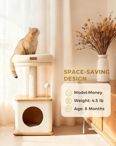 Small Cat Tree for Indoor Kittens (Ash Wood Finish / Small)