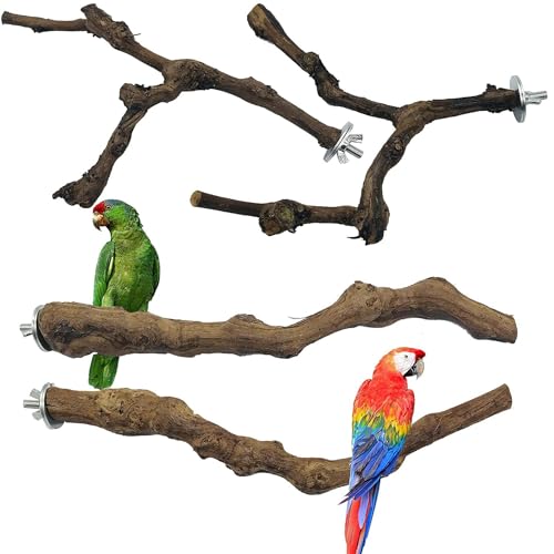 4PCS Bird Perch Natural Grape Stick Bird Standing Stick Grapevine (4PCS Natural Grape Stick)