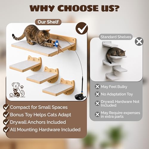 Cat Wall Shelves & Climbing System