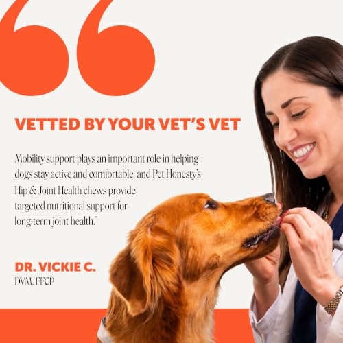 Vet Recommended Hip and Joint Supplement for Dogs (180 Count)