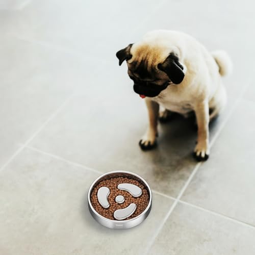 Slow Feeder Dog Bowl (Spiral-2Pack / S 1~1.5Cups)