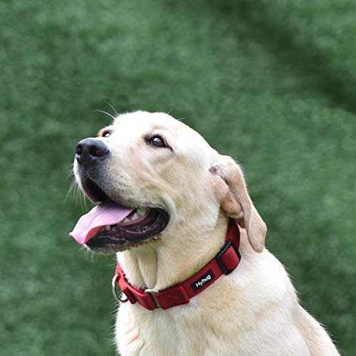 Martingale Collar for Dogs (Large / Red)