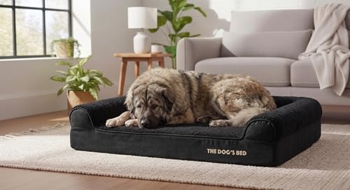 The Dog’s Bed Orthopedic Memory Foam Dog Bed with Headrest XL (Black Plush / XL (46"L x 28"W x 6"Th))