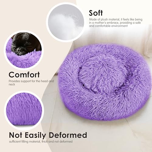 28in Large Dog Bed (Purple / 28.0"L x 28.0"W x 8.0"Th)