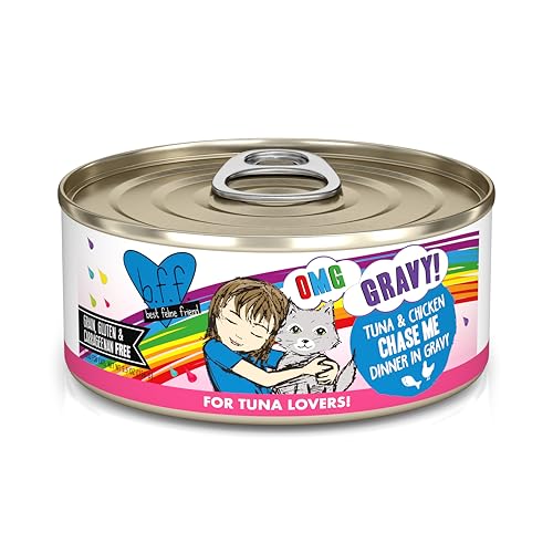 B.F.F. OMG Best Feline Friend Oh My Gravy! (5.5 Ounce (Pack of 8))