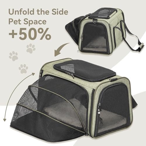Large Expandable Cat Carrier for Travel (19.0"L x 12.0"W x 12.0"H / Green)