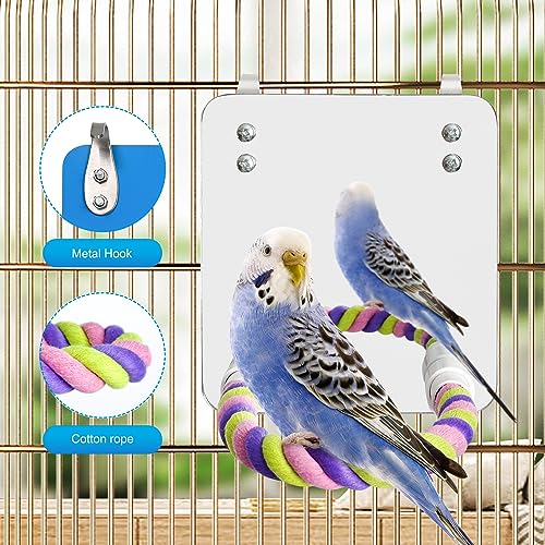 5.9" Bird Mirror with Rope Perch Bird Toys Swing