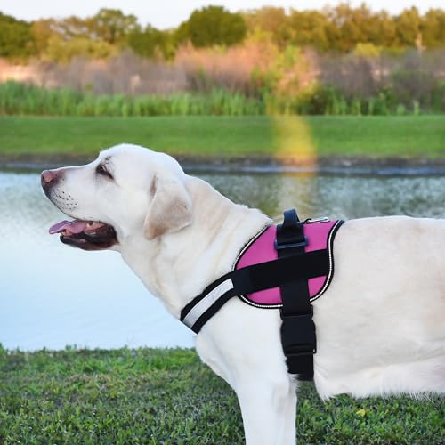 Dog Harness Reflective No (Pink / Girth 22" to 28")