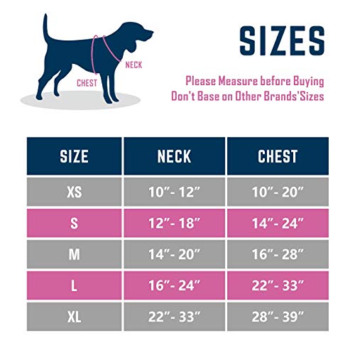 2019 Upgraded No Pull Dog Harness (Purple / Large)