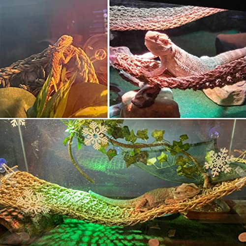Bearded Dragon Hammock