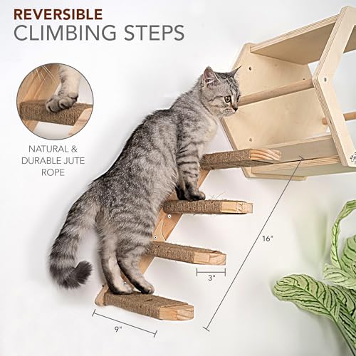 3 Piece Cat Wall Furniture Set