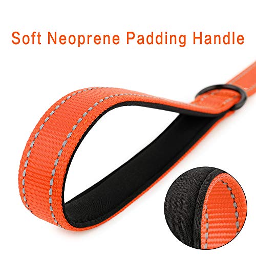 Short Training Dog Leash with Padded Handle for Medium Large Big Dogs (Orange / 18 Inch (Pack of 1))