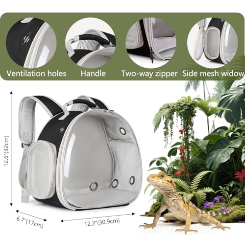 Bearded Dragon Travel Backpack with Harness and Leash Set (Black)