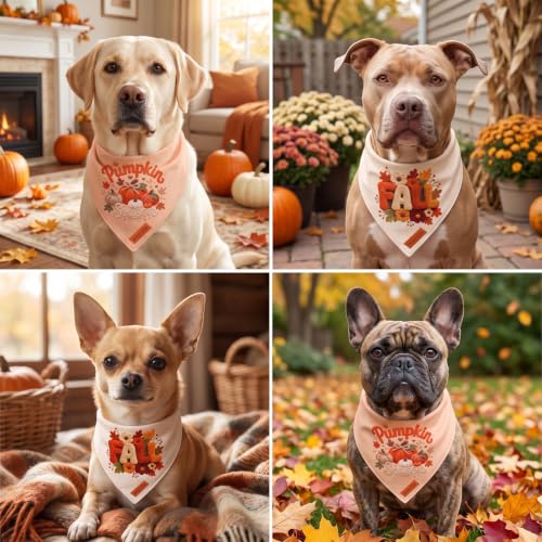 Fall Dog Bandanas (Large / Fall-1)