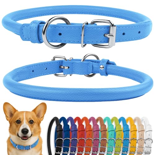 Tangle Free Rolled Leather Dog Collar (Light Blue / L)