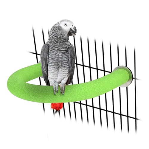 U Shaped Large Parrot Perch (Large / Green)