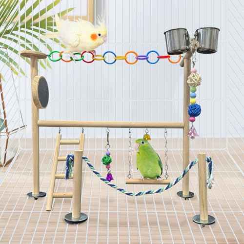 Small Bird Playground Natural Wood for Top of Cage Bird Perch Stand for Parrots Play Gym Toys for Small Birds Parrot Cockatiel Love Birds Budgie