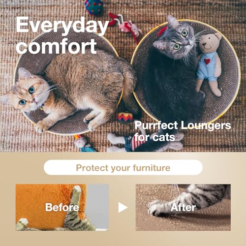Necoichi Cat Scratcher Bowl for Indoor Cats (Regular / Oak)