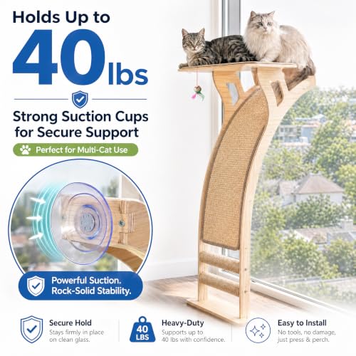 Cat Window Perch with Scratcher Ramp (Medium)