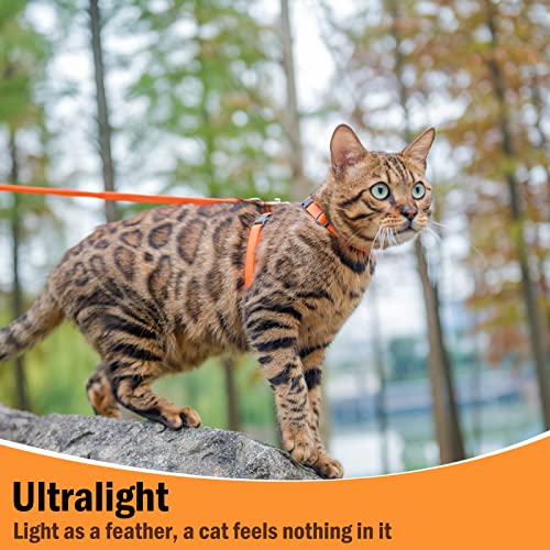 Adjustable Cat Harness and Leash Set Escape Proof Kitten Strap Collar for Walking Travel (Small / Orange)